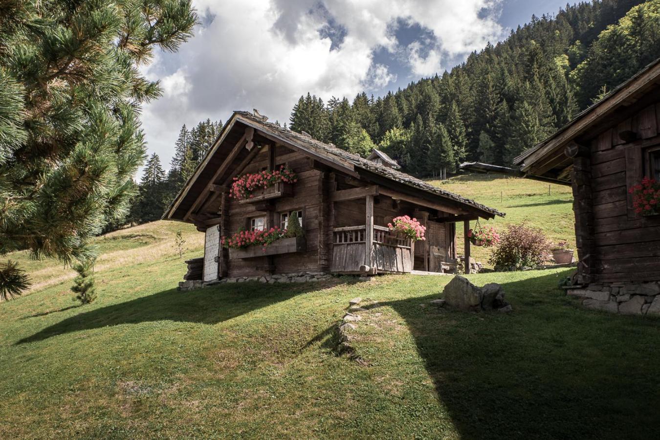 La Ferme Des Vonezins Otel Thônes Dış mekan fotoğraf
