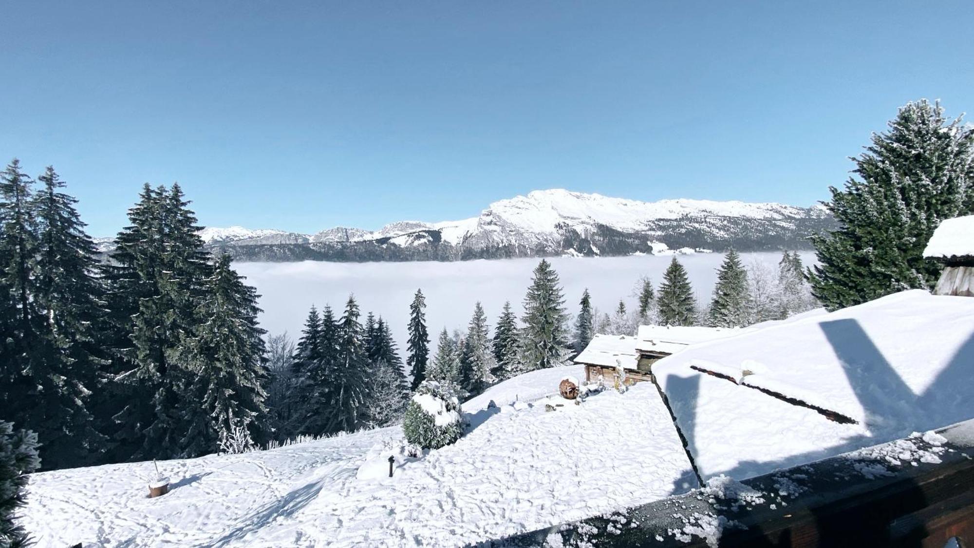 La Ferme Des Vonezins Otel Thônes Dış mekan fotoğraf