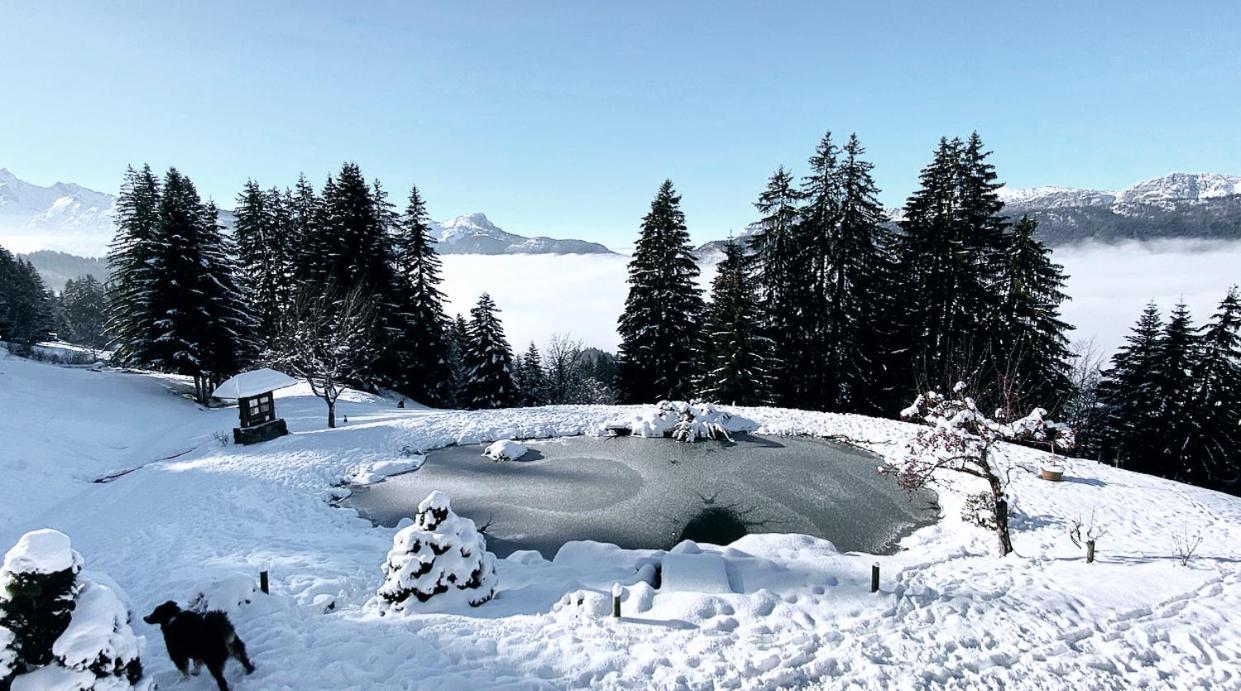 La Ferme Des Vonezins Otel Thônes Dış mekan fotoğraf