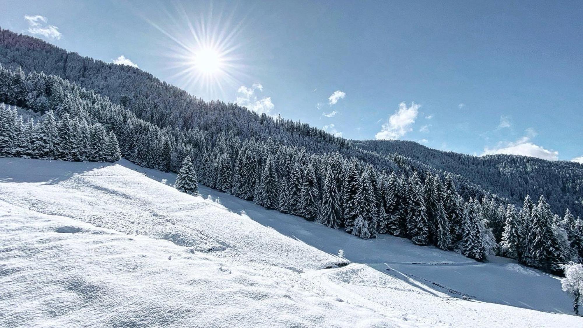 La Ferme Des Vonezins Otel Thônes Dış mekan fotoğraf