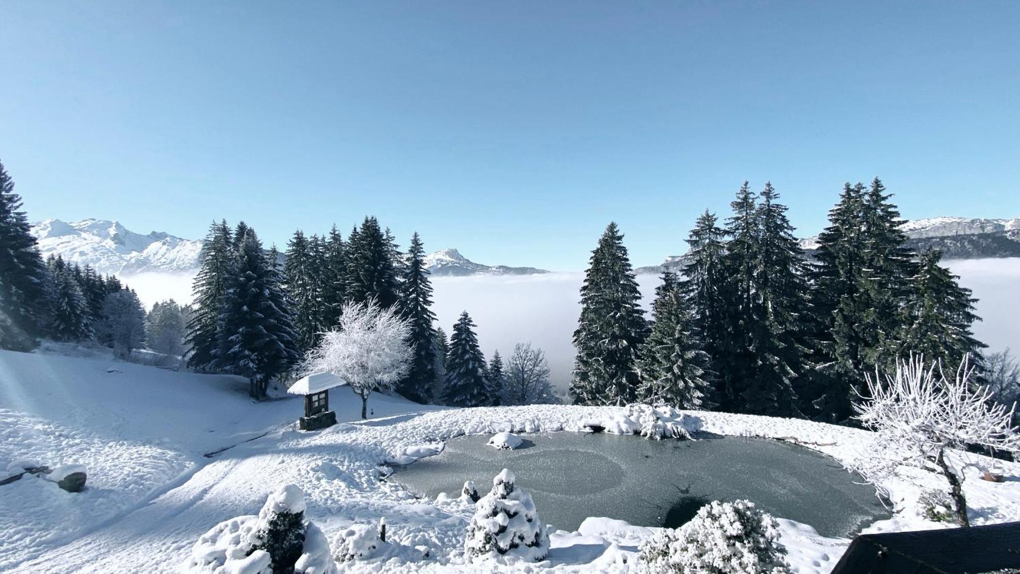 La Ferme Des Vonezins Otel Thônes Dış mekan fotoğraf
