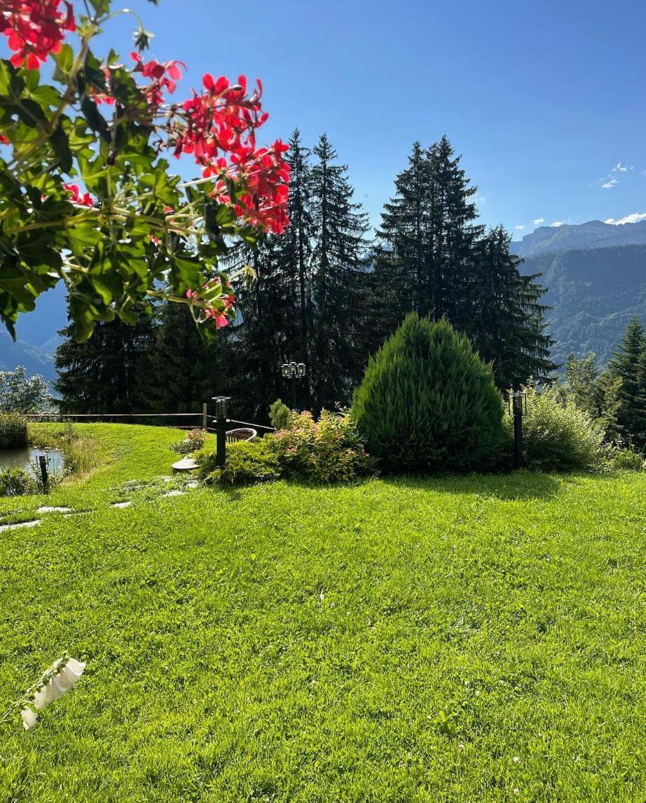 La Ferme Des Vonezins Otel Thônes Dış mekan fotoğraf